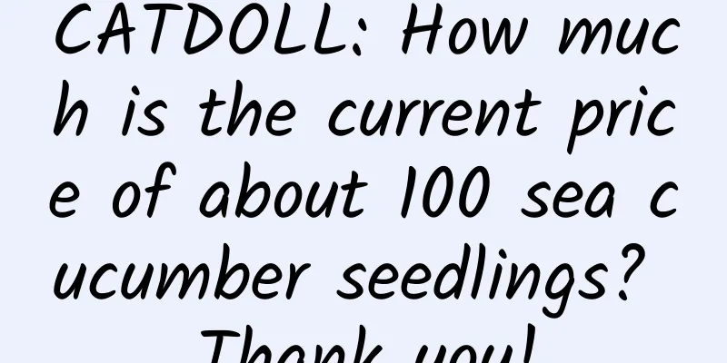 CATDOLL: How much is the current price of about 100 sea cucumber seedlings? Thank you!