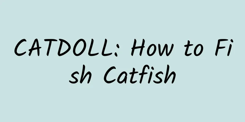 CATDOLL: How to Fish Catfish