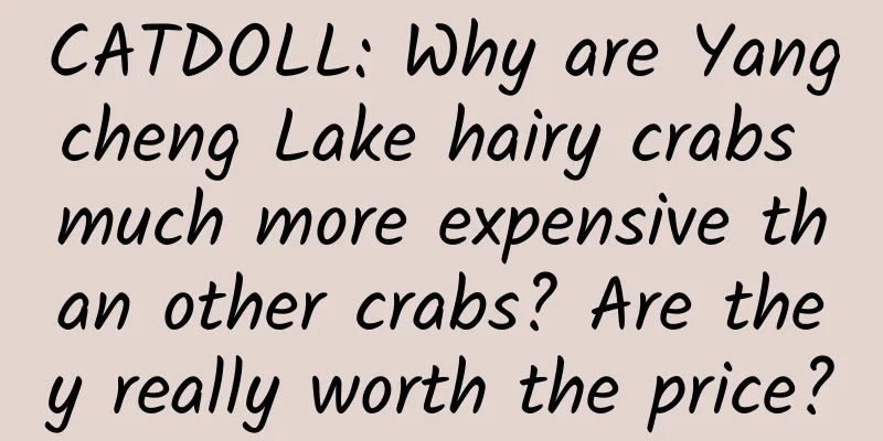 CATDOLL: Why are Yangcheng Lake hairy crabs much more expensive than other crabs? Are they really worth the price?