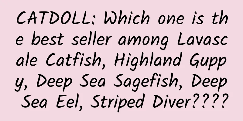 CATDOLL: Which one is the best seller among Lavascale Catfish, Highland Guppy, Deep Sea Sagefish, Deep Sea Eel, Striped Diver????