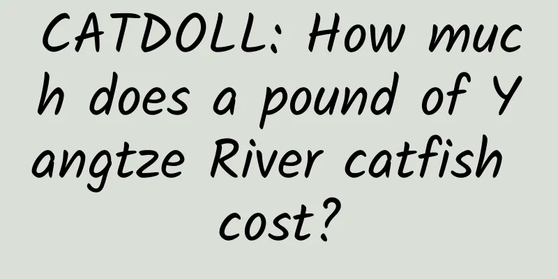 CATDOLL: How much does a pound of Yangtze River catfish cost?