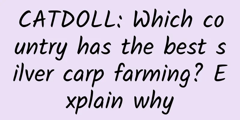 CATDOLL: Which country has the best silver carp farming? Explain why