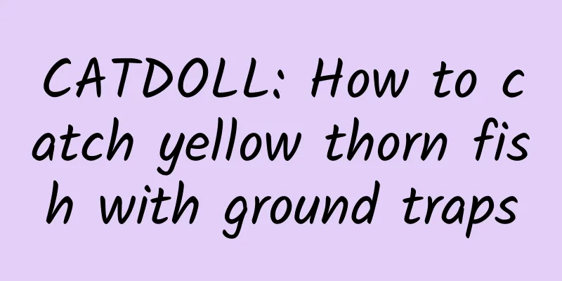 CATDOLL: How to catch yellow thorn fish with ground traps