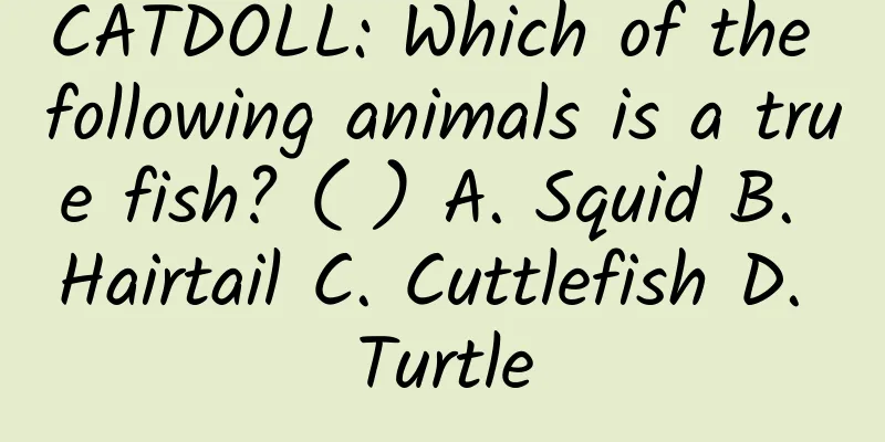 CATDOLL: Which of the following animals is a true fish? ( ) A. Squid B. Hairtail C. Cuttlefish D. Turtle