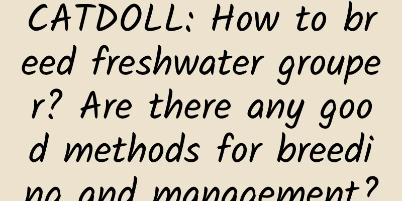 CATDOLL: How to breed freshwater grouper? Are there any good methods for breeding and management?