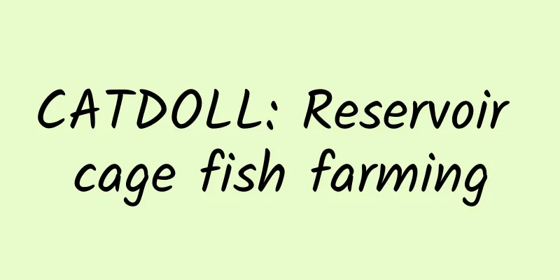 CATDOLL: Reservoir cage fish farming