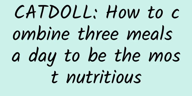 CATDOLL: How to combine three meals a day to be the most nutritious