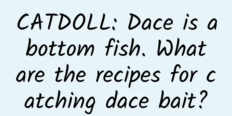 CATDOLL: Dace is a bottom fish. What are the recipes for catching dace bait?