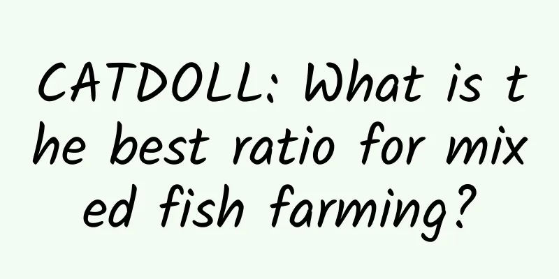 CATDOLL: What is the best ratio for mixed fish farming?