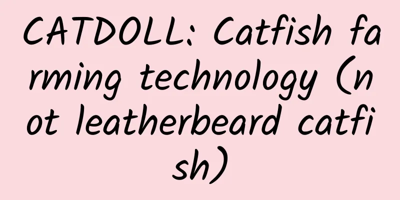CATDOLL: Catfish farming technology (not leatherbeard catfish)