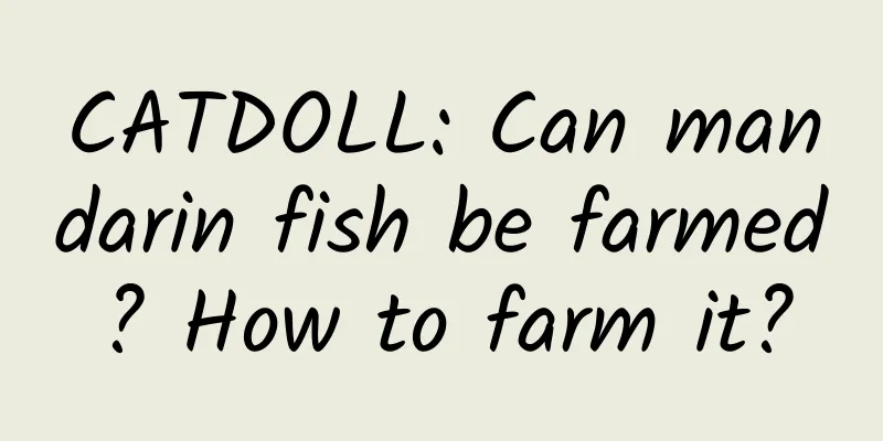 CATDOLL: Can mandarin fish be farmed? How to farm it?