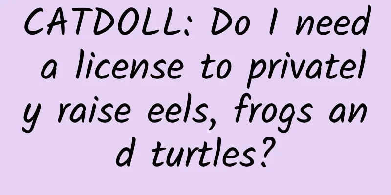 CATDOLL: Do I need a license to privately raise eels, frogs and turtles?