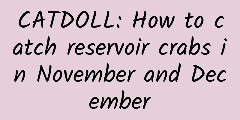 CATDOLL: How to catch reservoir crabs in November and December