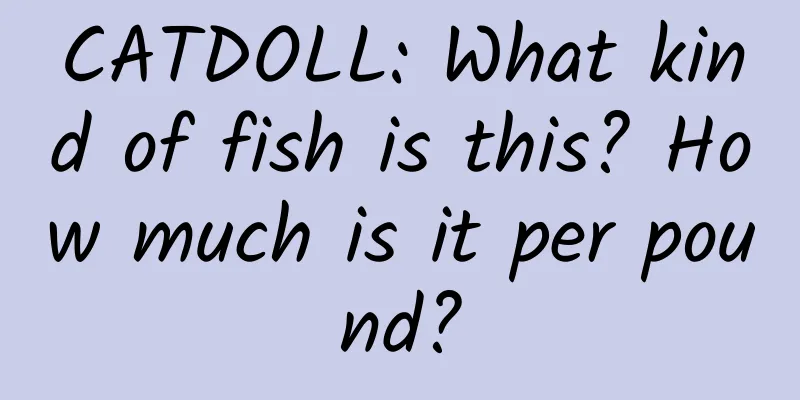 CATDOLL: What kind of fish is this? How much is it per pound?