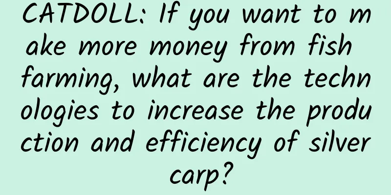 CATDOLL: If you want to make more money from fish farming, what are the technologies to increase the production and efficiency of silver carp?