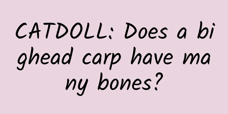 CATDOLL: Does a bighead carp have many bones?