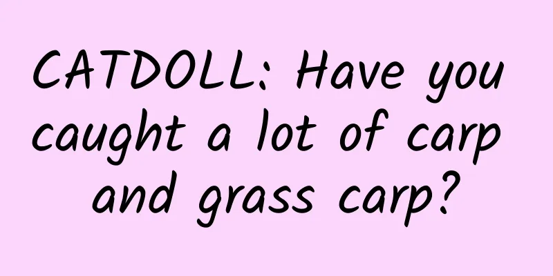 CATDOLL: Have you caught a lot of carp and grass carp?