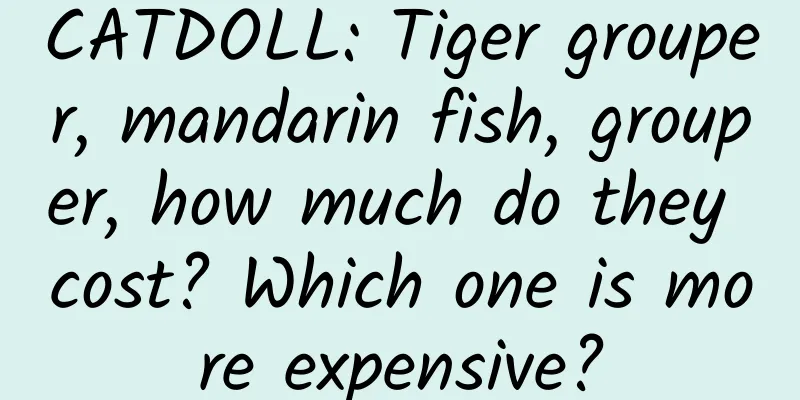 CATDOLL: Tiger grouper, mandarin fish, grouper, how much do they cost? Which one is more expensive?
