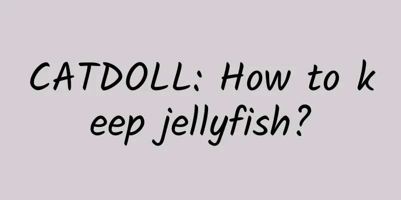 CATDOLL: How to keep jellyfish?