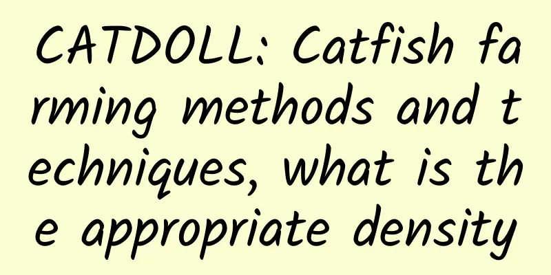CATDOLL: Catfish farming methods and techniques, what is the appropriate density