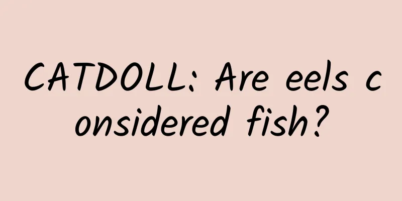 CATDOLL: Are eels considered fish?