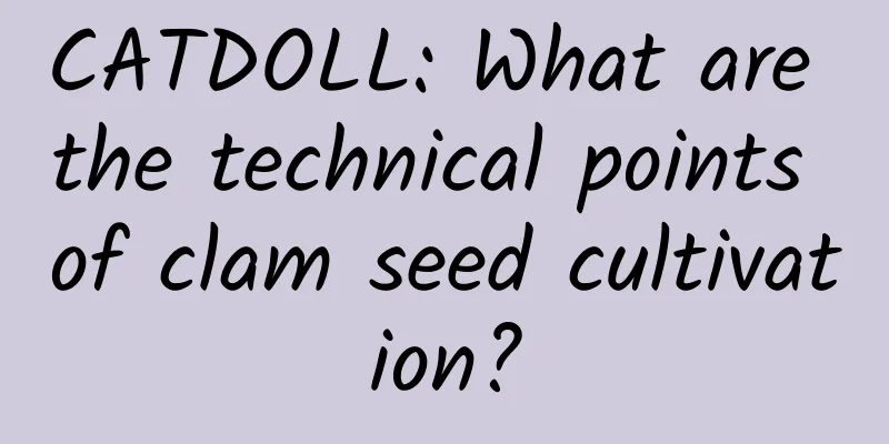 CATDOLL: What are the technical points of clam seed cultivation?