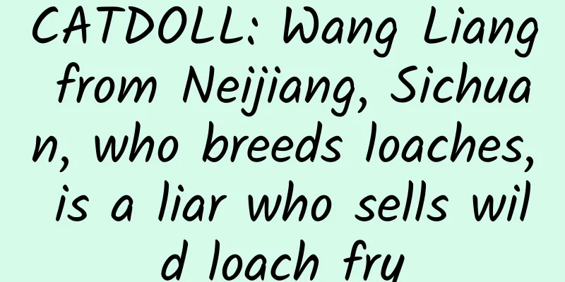 CATDOLL: Wang Liang from Neijiang, Sichuan, who breeds loaches, is a liar who sells wild loach fry