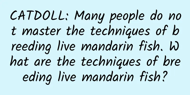 CATDOLL: Many people do not master the techniques of breeding live mandarin fish. What are the techniques of breeding live mandarin fish?