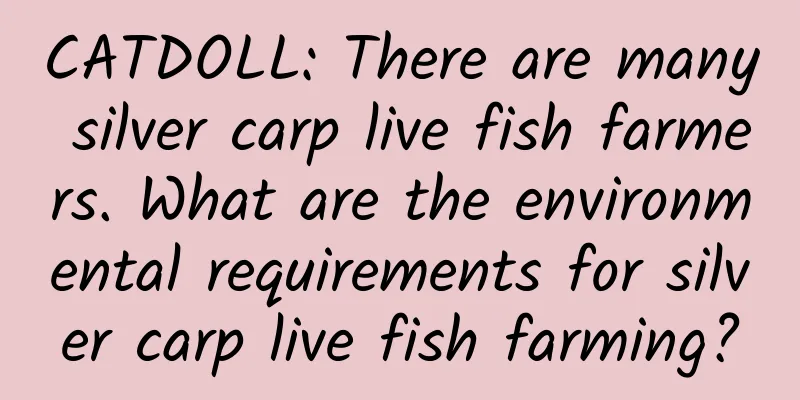 CATDOLL: There are many silver carp live fish farmers. What are the environmental requirements for silver carp live fish farming?