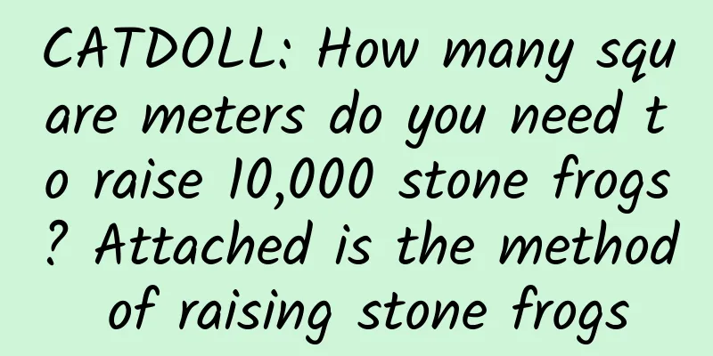 CATDOLL: How many square meters do you need to raise 10,000 stone frogs? Attached is the method of raising stone frogs