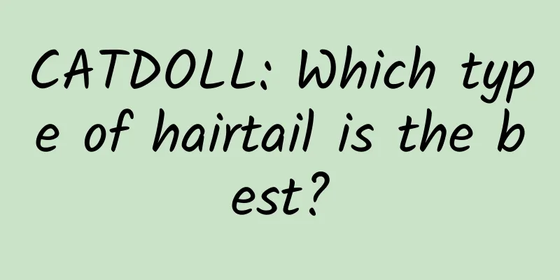 CATDOLL: Which type of hairtail is the best?