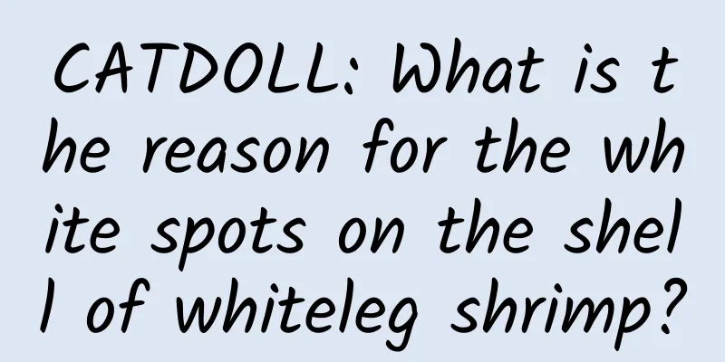 CATDOLL: What is the reason for the white spots on the shell of whiteleg shrimp?