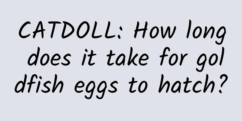 CATDOLL: How long does it take for goldfish eggs to hatch?