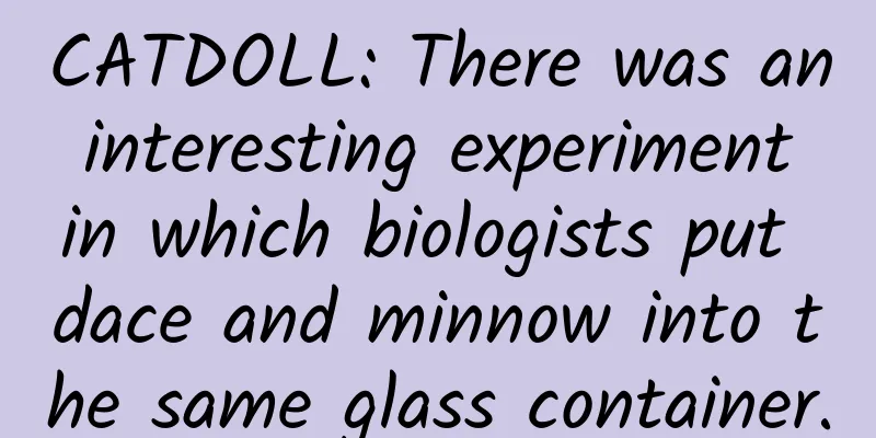 CATDOLL: There was an interesting experiment in which biologists put dace and minnow into the same glass container.
