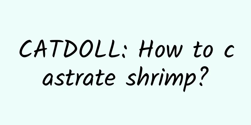 CATDOLL: How to castrate shrimp?