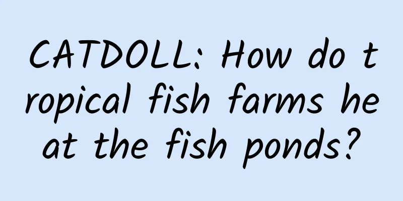 CATDOLL: How do tropical fish farms heat the fish ponds?