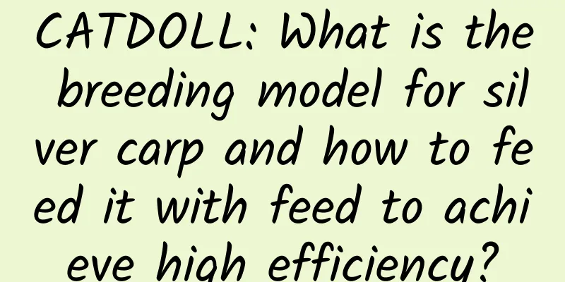 CATDOLL: What is the breeding model for silver carp and how to feed it with feed to achieve high efficiency?