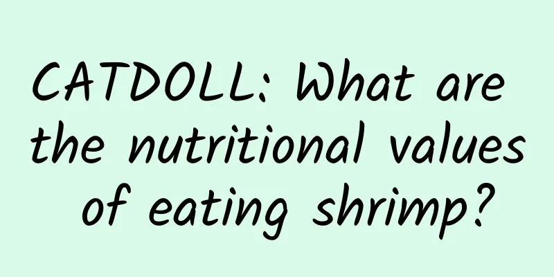 CATDOLL: What are the nutritional values ​​of eating shrimp?