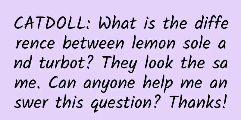 CATDOLL: What is the difference between lemon sole and turbot? They look the same. Can anyone help me answer this question? Thanks!