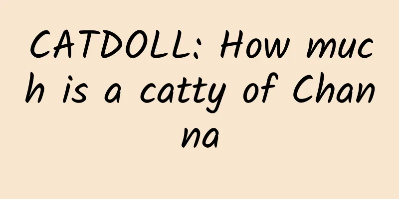 CATDOLL: How much is a catty of Channa
