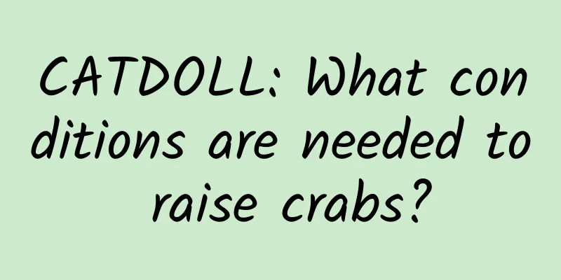 CATDOLL: What conditions are needed to raise crabs?