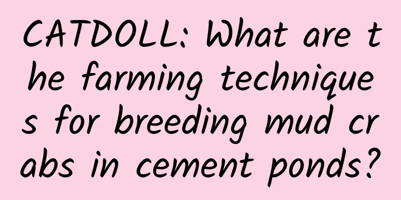 CATDOLL: What are the farming techniques for breeding mud crabs in cement ponds?