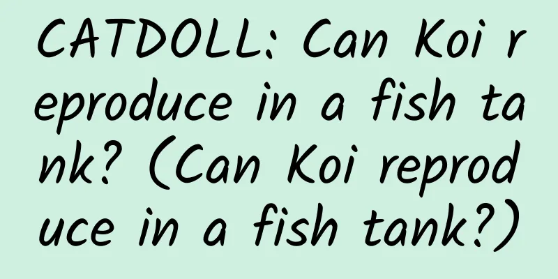 CATDOLL: Can Koi reproduce in a fish tank? (Can Koi reproduce in a fish tank?)