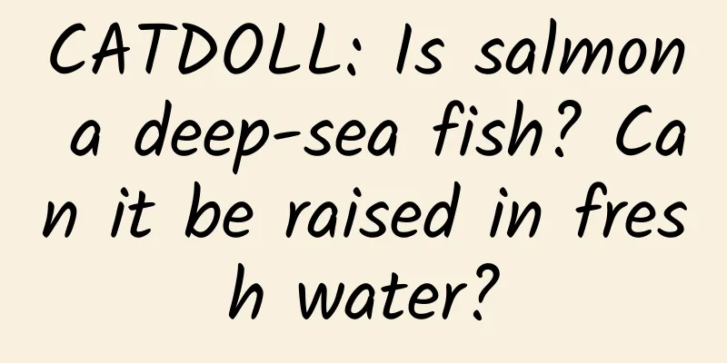 CATDOLL: Is salmon a deep-sea fish? Can it be raised in fresh water?