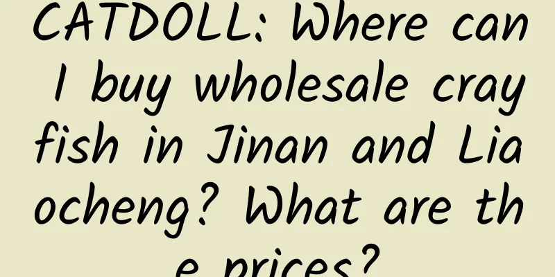 CATDOLL: Where can I buy wholesale crayfish in Jinan and Liaocheng? What are the prices?