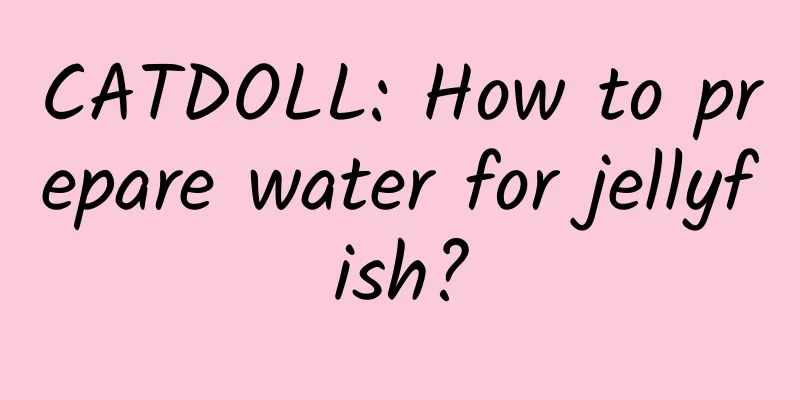 CATDOLL: How to prepare water for jellyfish?