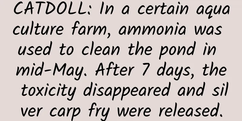 CATDOLL: In a certain aquaculture farm, ammonia was used to clean the pond in mid-May. After 7 days, the toxicity disappeared and silver carp fry were released.