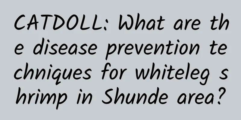 CATDOLL: What are the disease prevention techniques for whiteleg shrimp in Shunde area?