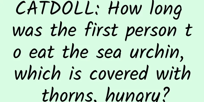 CATDOLL: How long was the first person to eat the sea urchin, which is covered with thorns, hungry?