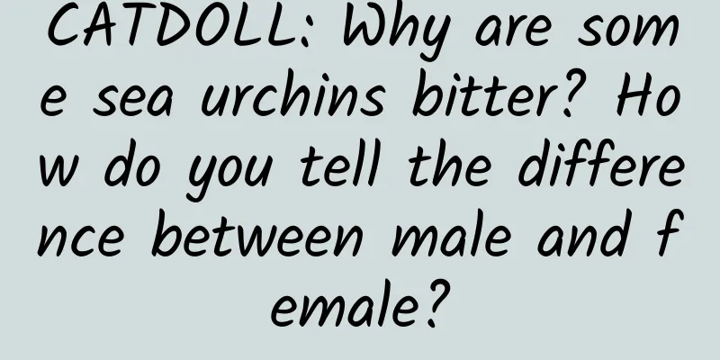 CATDOLL: Why are some sea urchins bitter? How do you tell the difference between male and female?